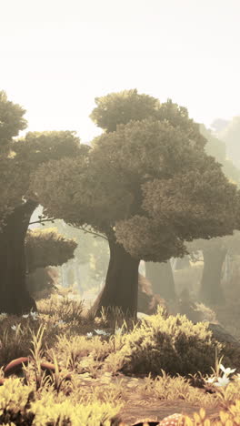 cartoon sunbeams streaming through the trees