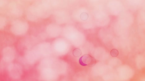 pink background and moving pink bokeh image