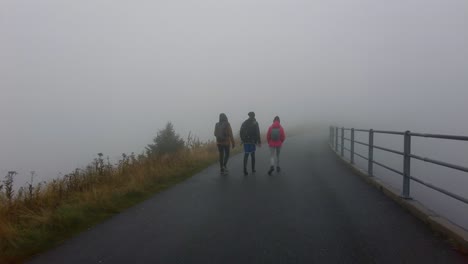 Aufnahme-Während-Eines-Spaziergangs-Durch-Die-Straße,-Die-Tagsüber-Mit-Dichtem-Weißem-Nebel-Neben-Einem-Geländer-Entlang-Der-Ländlichen-Landschaft-Bedeckt-Ist