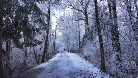 Serene snow-covered road winds through magical winter forest in Switzerland, frost-covered trees and fresh snow.