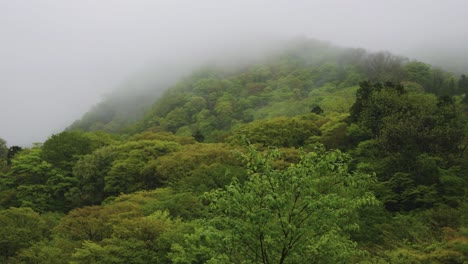 Pico-Brumoso-Del-Monte-Daisen,-Tottori-Japón