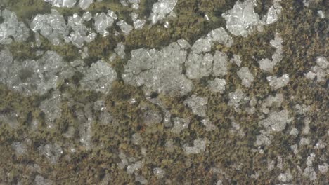 ice shards floating on water