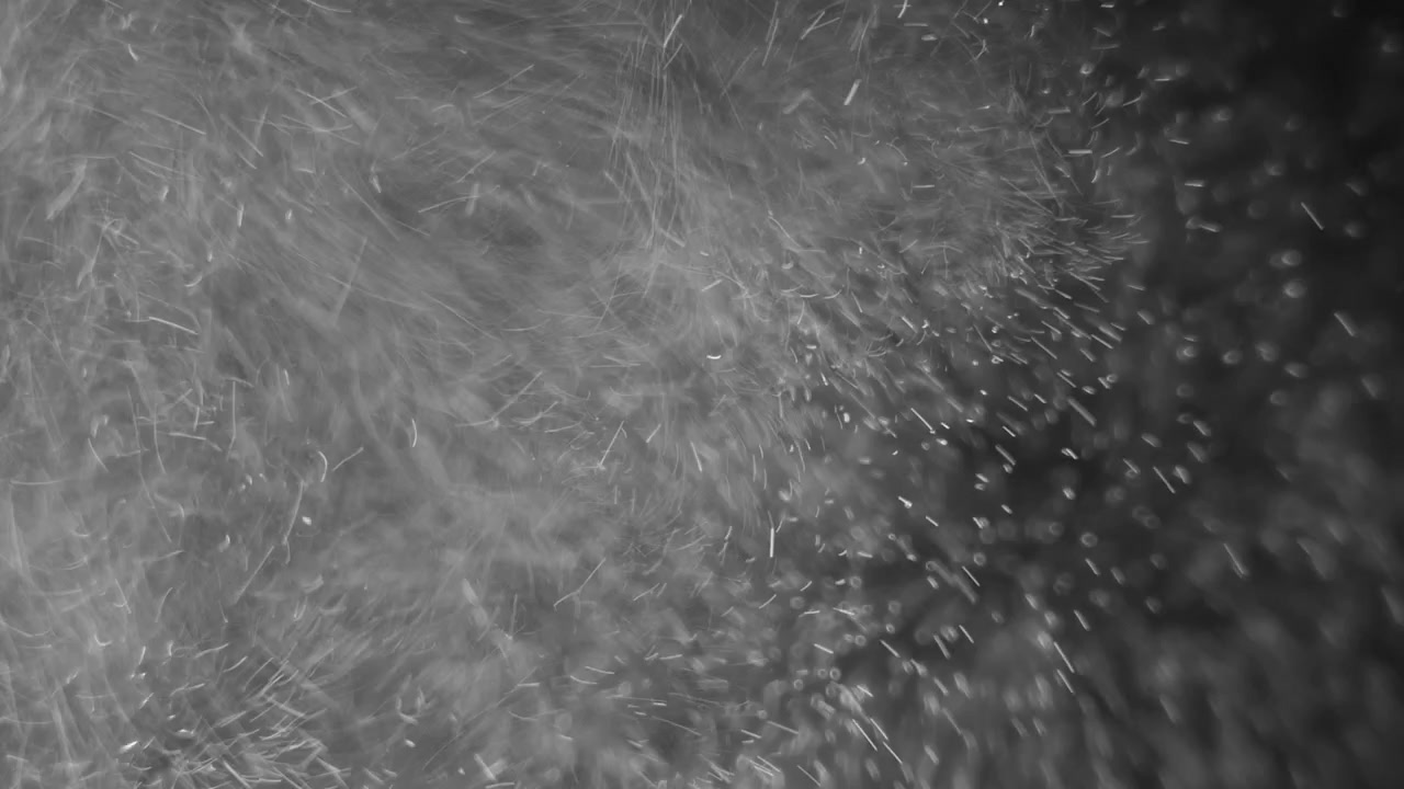 Floating Dust Particles in Dark Atmosphere