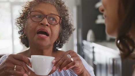 senior mixed race woman drinking tea with her daughter in social distancing