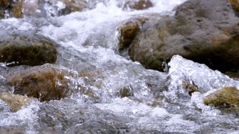 corriente clara que corre a través de rocas de piedra río abundante que fluye en cámara lenta