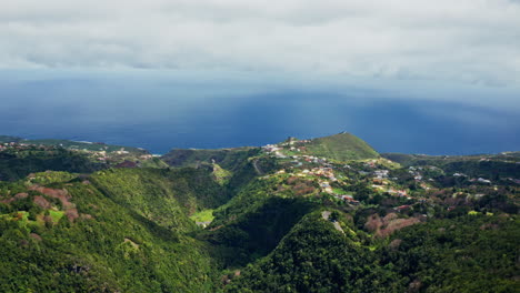 aerial drone shot of the picturesque landscape in la palma, canary islands. high view of the green lush vegetation, the coastline and the deep blue ocean.