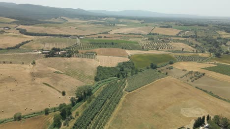 Luftbilder-Der-Toskana-In-Italien,-Bewirtschaftete-Felder-Im-Sommer