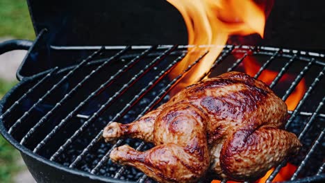 Close-up, eye-level shot of a whole roasted chicken on a grill with flames in the background