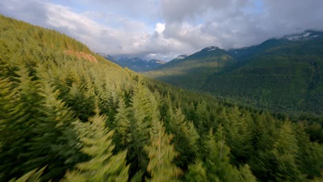 加拿大不列颠哥伦比亚省squamish和whistler附近mamquam河的针叶树森林山脉里,一条偏远的道路,停着一辆车