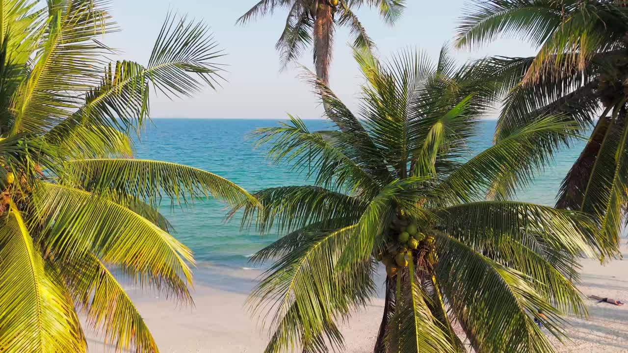 Tropical Paradise Scenery with palm trees in the foreground and turquoise blue ocean and beach in the background. Calm relaxing island landscape.