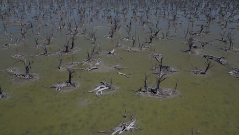 4k60 drone filming the dried out taarbin lake in western australia, bad farming is the cause