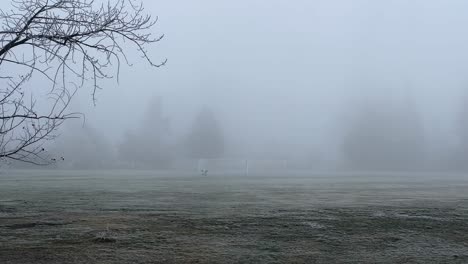 Person-in-distance-walking-dog-on-foggy,-frozen-football-field