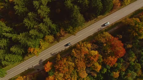 aerial top view at a diagonal directed road with many driving passenger cars framed by autumn colored trees at a wonderful fall day