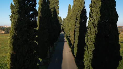 los árboles altos se alinean en la carretera de la vía apia proyectando sombras oscuras en el sendero del triunfo romano.