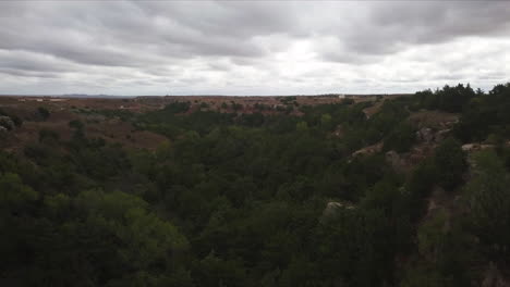 toma de grúa del bosque verde salvaje bajo un cielo gris nublado
