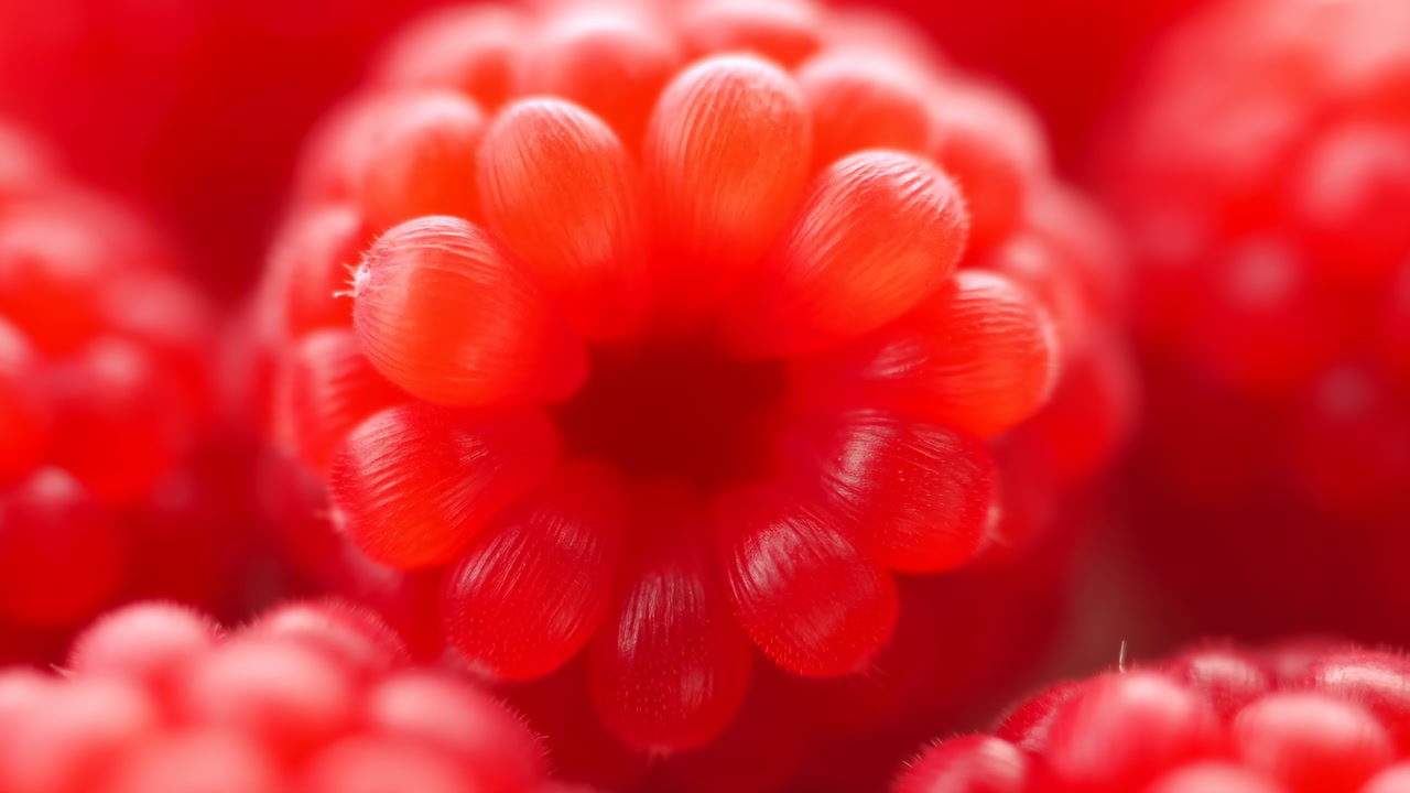 Macro Vibrant Red Raspberry Cluster With Dewy Texture And Soft Bokeh, Ultradetailed Macro Food Shot Showcasing