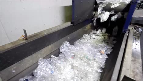 plastic bottle recycling plant