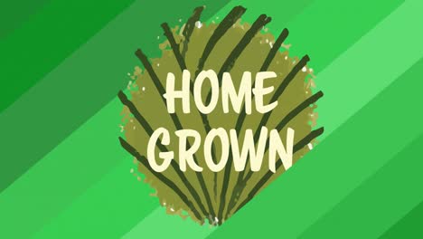 animation of home grown text on green leaf logo, over diagonal green stripes