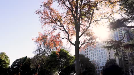 kids running and playing in a sunny park