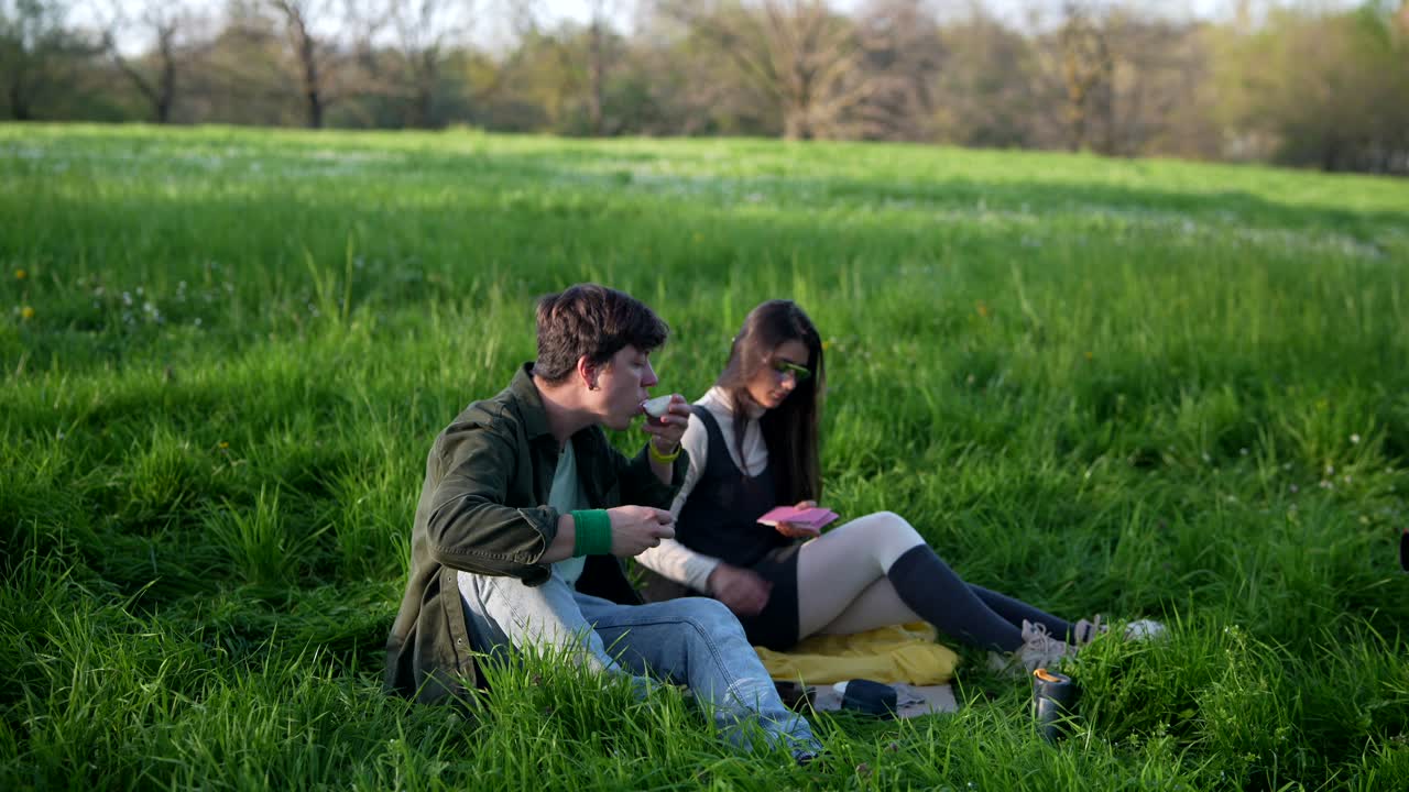공원 에서 피크닉 을 즐기는 부부