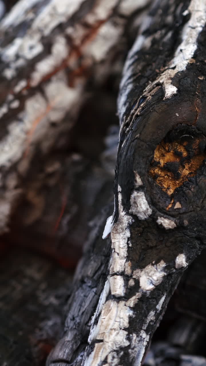 Smoldering logs background. Wood is burning in fire for barbecue. Combustion of wood. Wood turning into charcoal in fire. Close-up. Vertical video