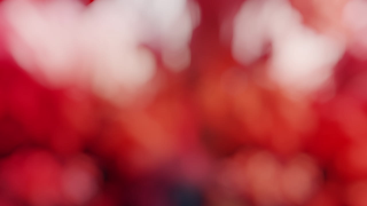 luces abstractas y movimiento