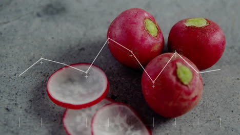 Animación-Del-Procesamiento-De-Datos-En-Diagramas-Sobre-Rábano-Cortado