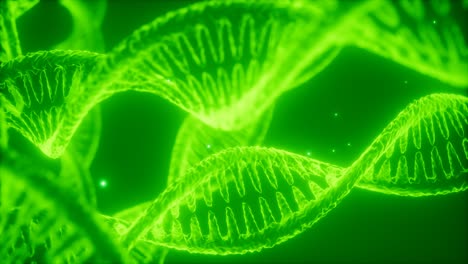 Estructura-De-La-Animación-De-Doble-Hélice-De-Adn