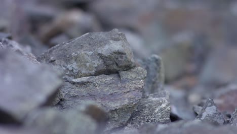 pile of rocks