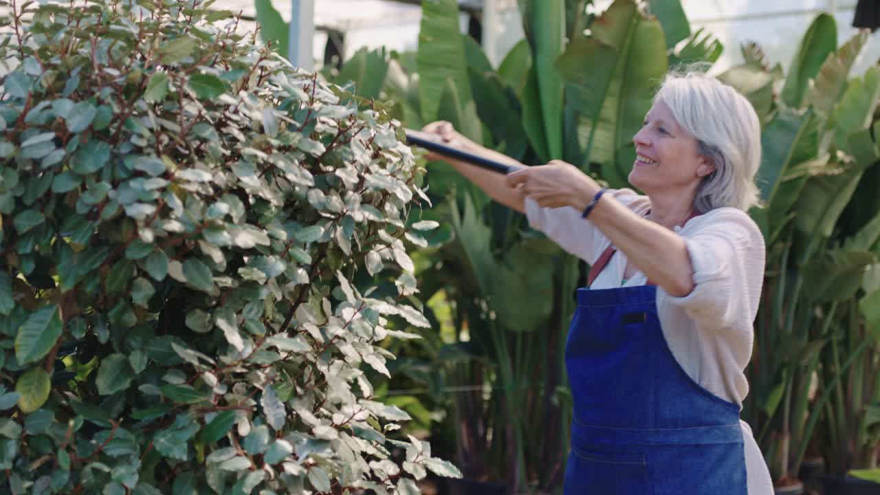 Woman trimming bush