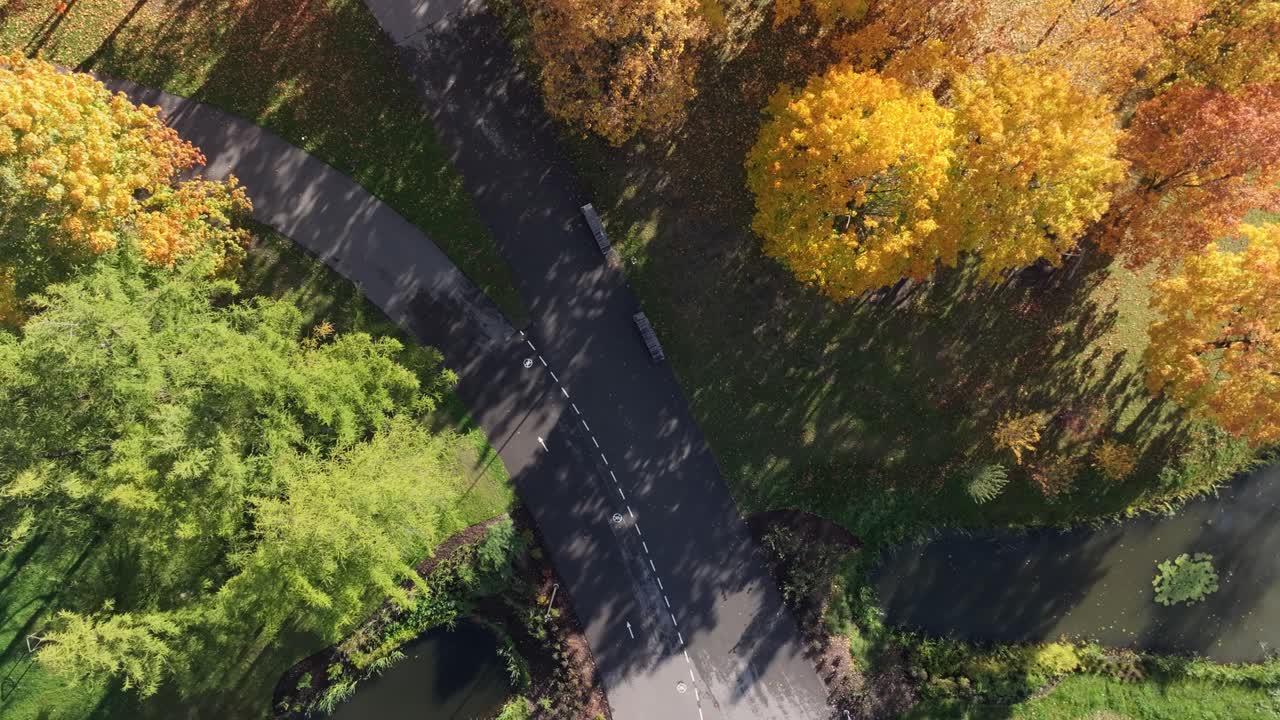 Drone forward over golden fall trees and renovated paths in Riga’s Victory Park