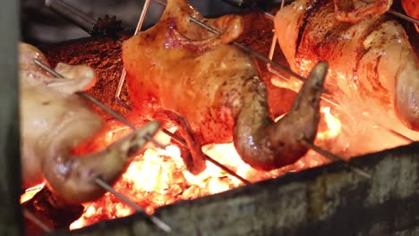 duck slowly roasts on a spit over fiery coals.