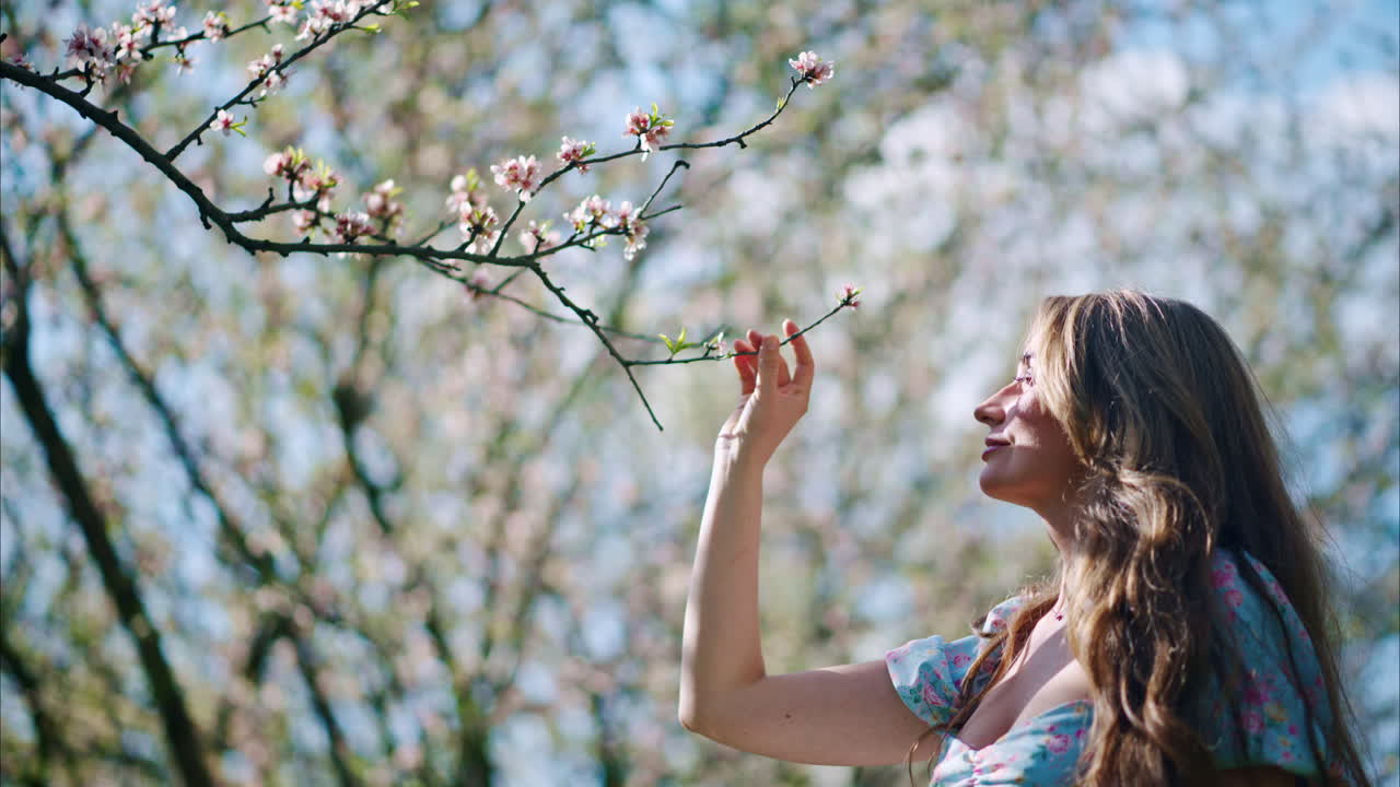 Brunette woman in a blue dress smelling a flower in a field of blooming almond trees