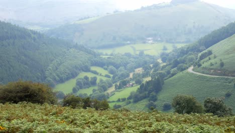 Szenisch-Nebligen-üppigen-Bergtal-Landschaft-Wildnis-Hufeisenpass-Nordwales