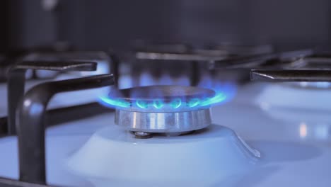 Kitchen-gas-cooker-with-burning--gas