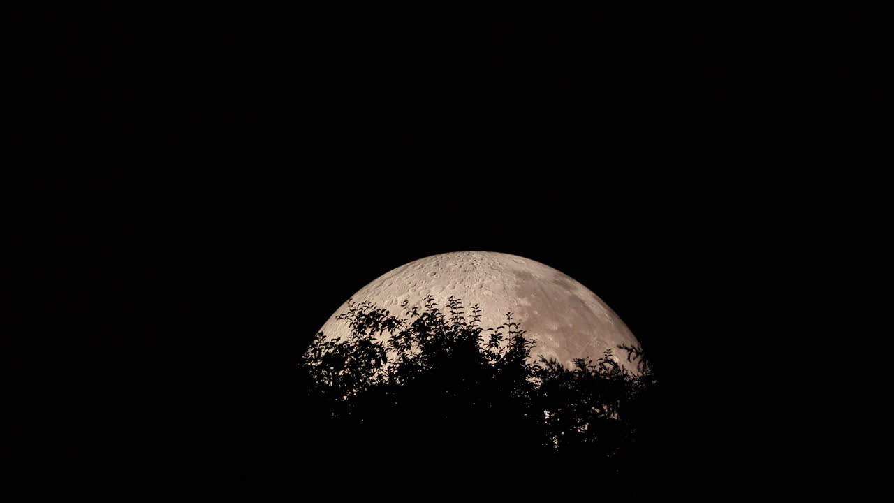 The peak of moons moon captured with treetops at closeup, close up view during night, and Lunalon construction with detailed moon landscape captured in 4k