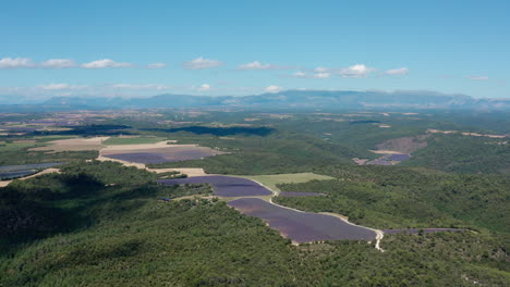 Hohe-Luftaufnahme-über-Lavendelfeldern-Und-Wäldern-In-Der-Provence,-Frankreich,-Sonniger-Tag