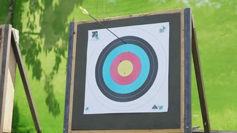 lonely arrow hits the archery target - close up