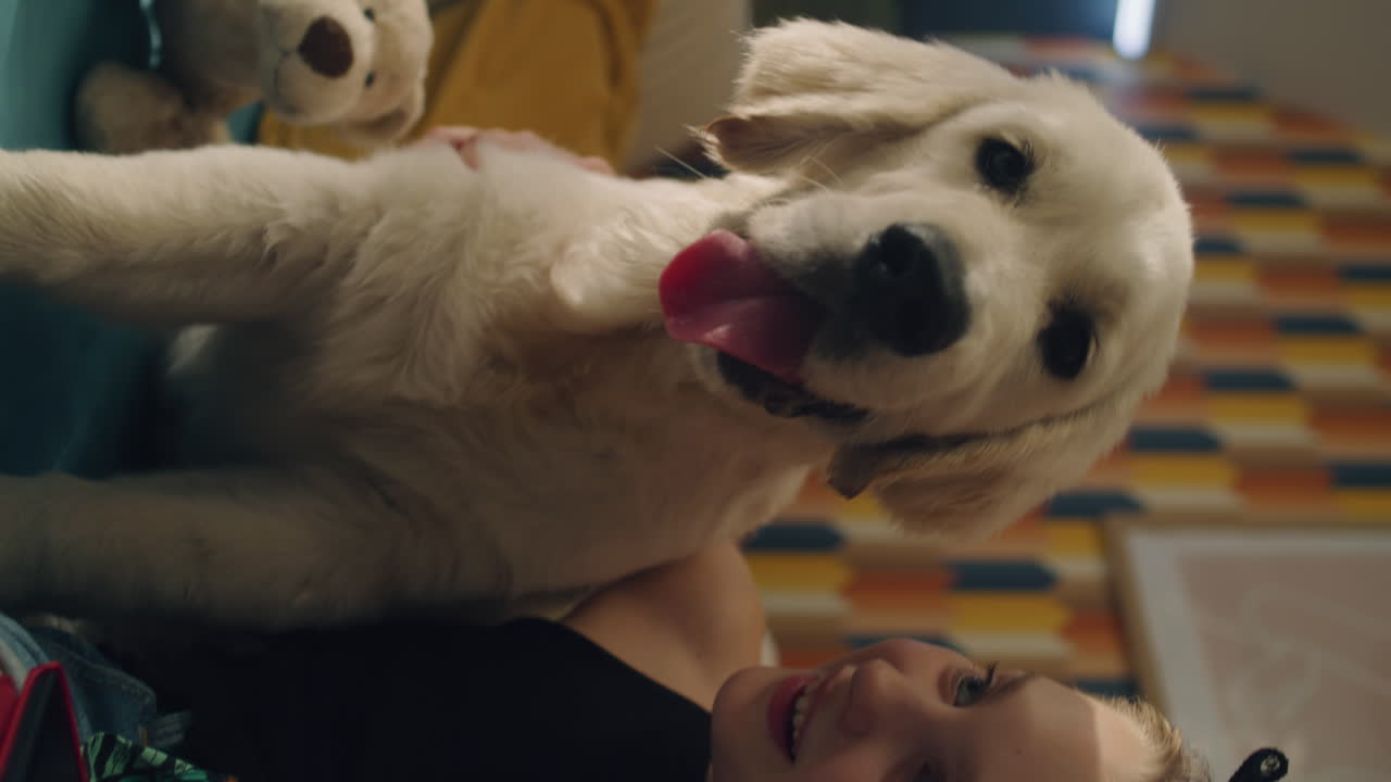 Happy Puppy with a Child