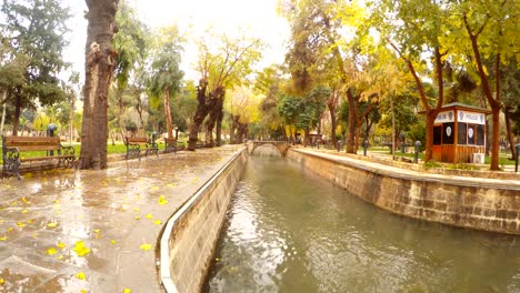 late autumn canal in courtyard pool of sacred fish urfa