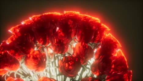 rosas en la oscuridad con luz