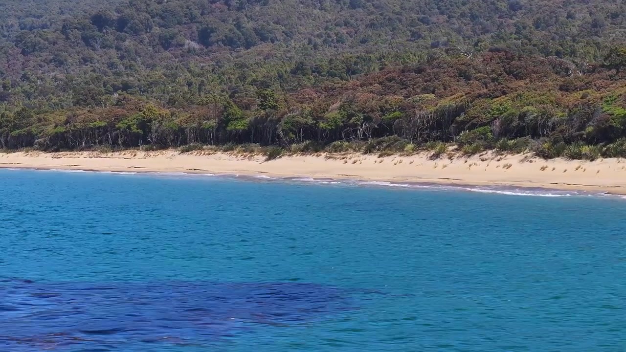 Praia Tropical Murray na Ilha Stewart, Rakiura, Nova Zelândia. Vista aérea em dia ensolarado.
