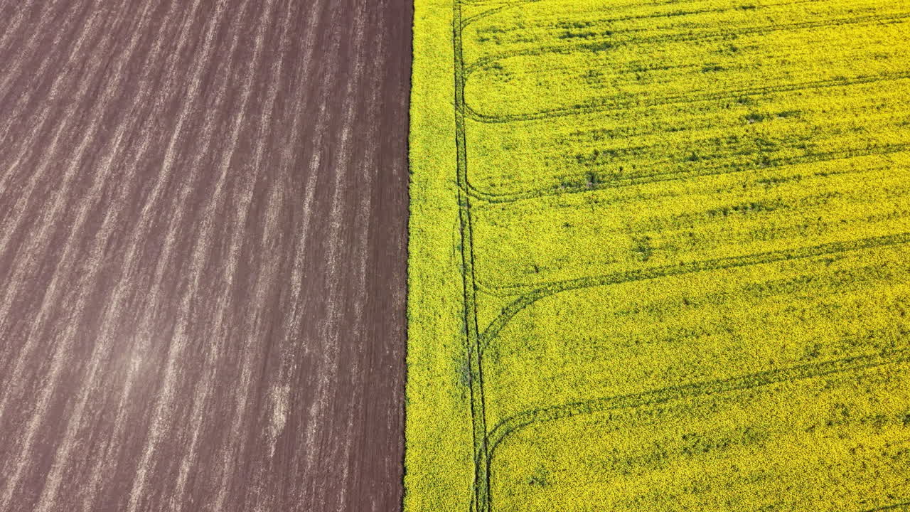 Fields of yellow and brown reveal planting patterns in rural landscape during daylight hours