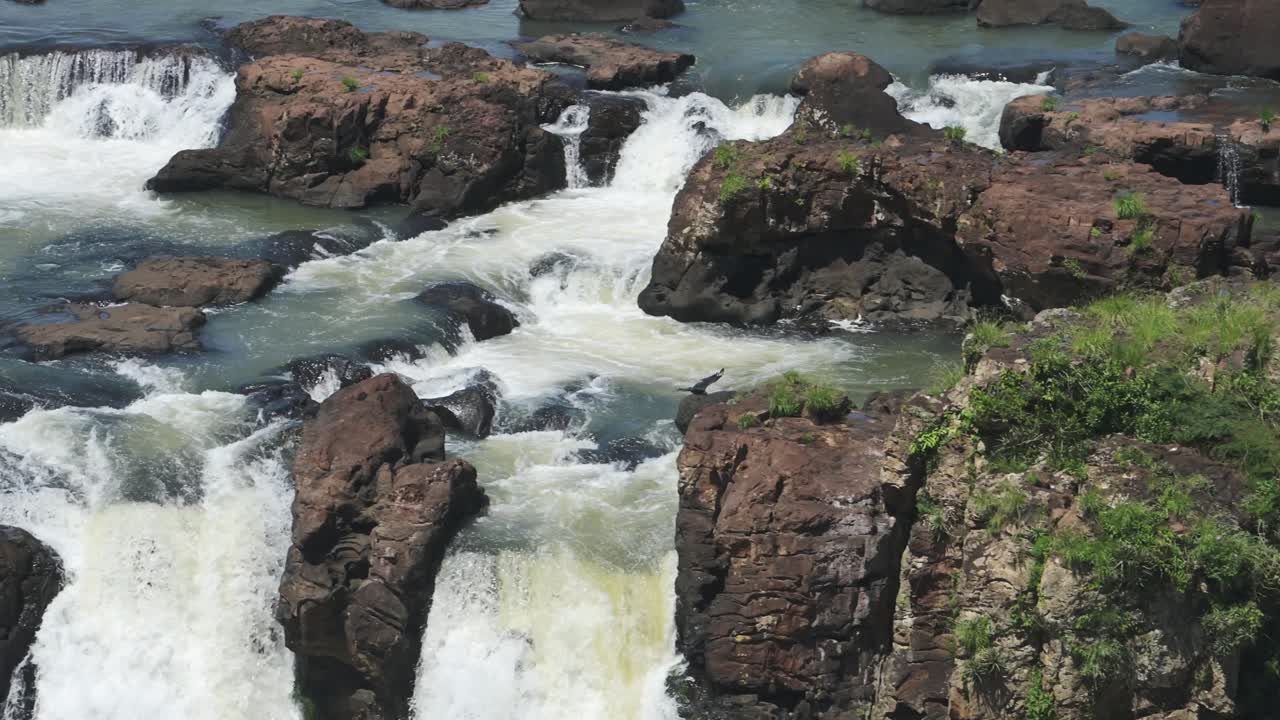 pájaro en cámara lenta volando sobre hermosos paisajes de cascadas rocosas, en lo alto de la vista de seguimiento de la vida de las aves que pasan por cascadas ásperas que caen por un gran acantilado en las cataratas de iguazu, brasil, américa del sur