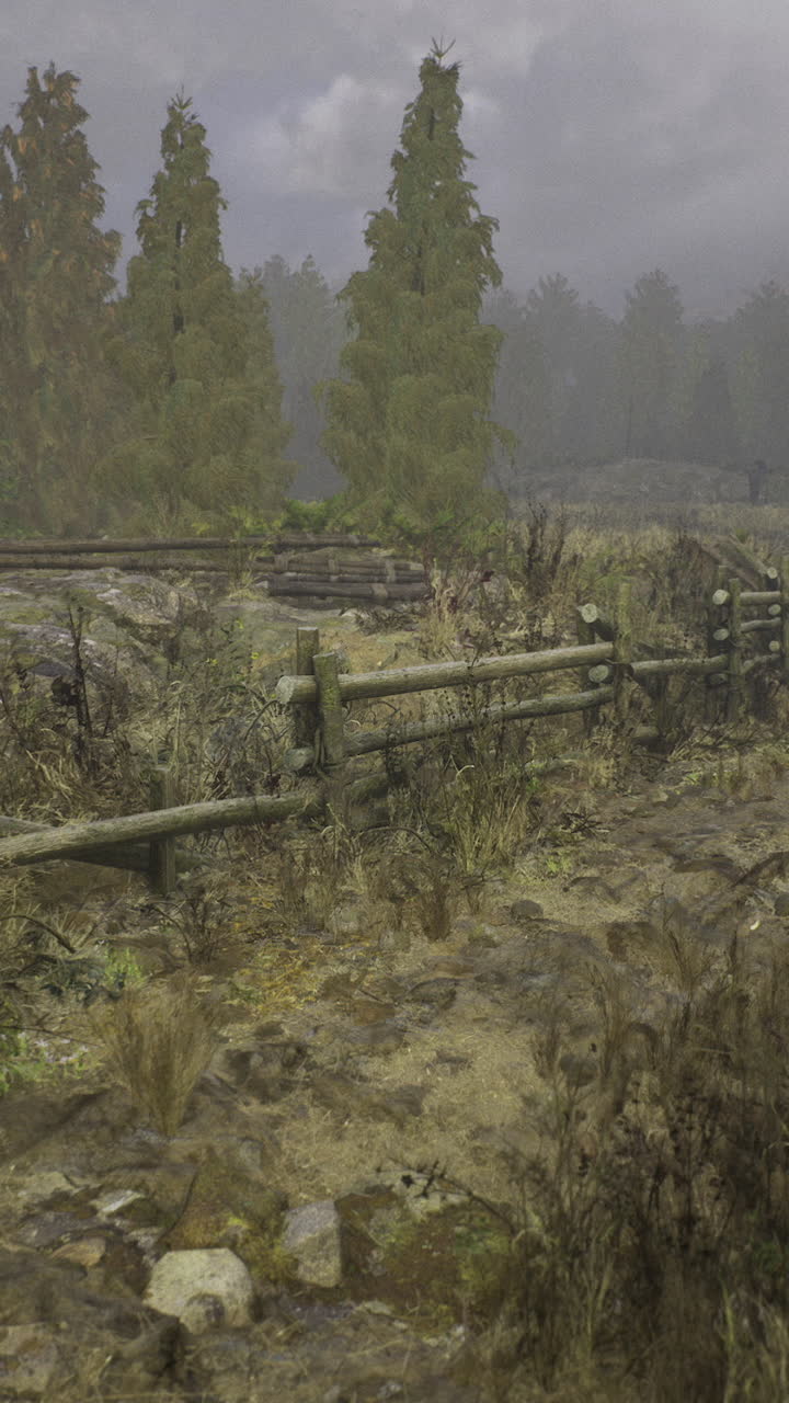 Misty forest path winding through the serene landscape of a secluded terrain