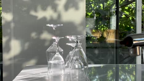 wine glasses drying upside down in sunlight after being washed next to the sink