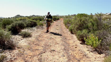 hombre caminando por un terreno salvaje