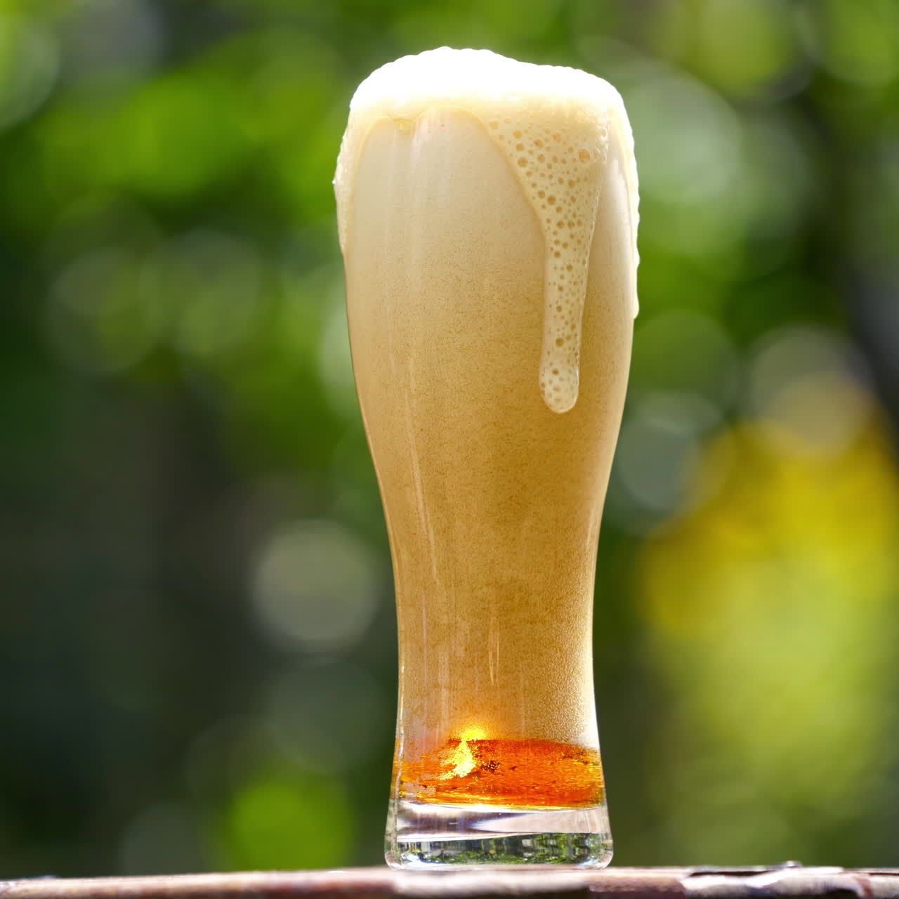Pouring process of light beer into tall glass. Beer pours into a glass in summer garden making lots of bubbles and white foam. Cold alcohol refreshment on nature background.