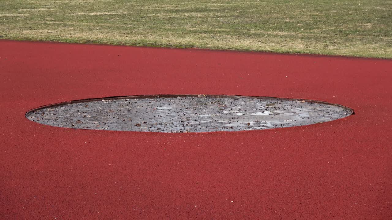 봄 경기장에서 나무 잎과 물로 빈 디스코스 던지기 방향