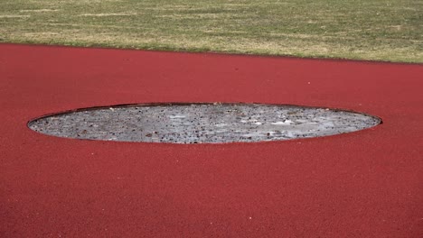 empty discus throwers direction with tree leaves and water in spring stadium